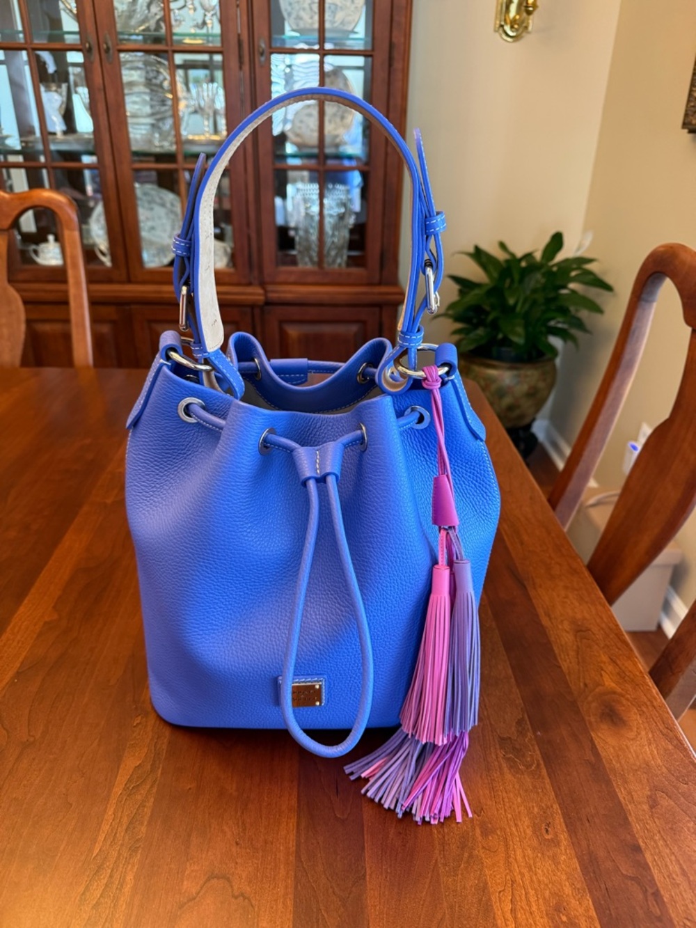 NWOT Dooney & Bourke Lucca Leather Drawstring Bag with Multi-Color Tassels